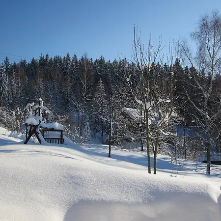 Guest house Medvidek
