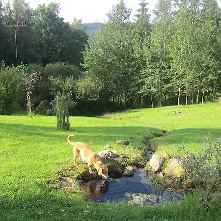 Medvídek 3*