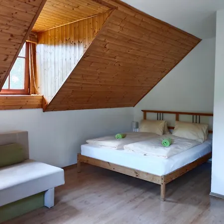 Guest house Medvidek *