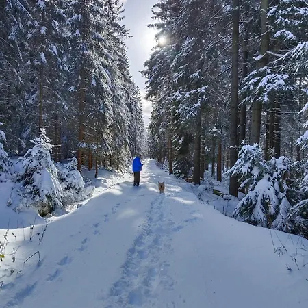 Medvídek Gasthof Josefův Důl u Jablonce nad Nisou