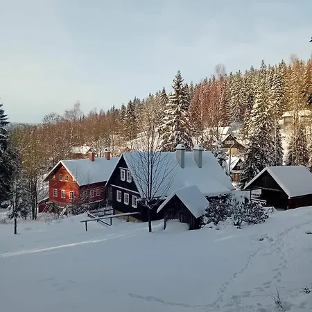 Medvidek 3*