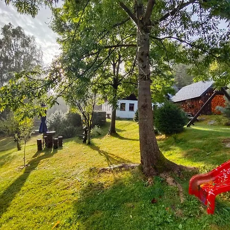 Guest house Medvidek