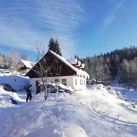 Medvidek Guest house *