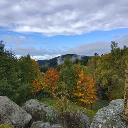 Medvídek