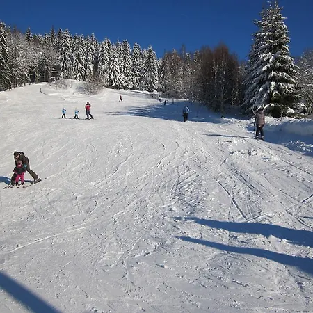Medvídek 3* Josefův Důl u Jablonce nad Nisou